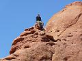 Moab 09 195